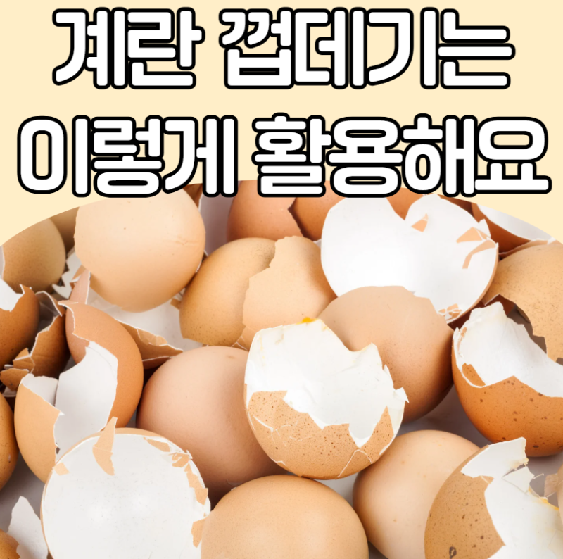 그냥 버리면 쓰레기, 활용하면 치트키! 믹서기 청소부터 천연 표백까지 난각(계란 껍질) 활용....