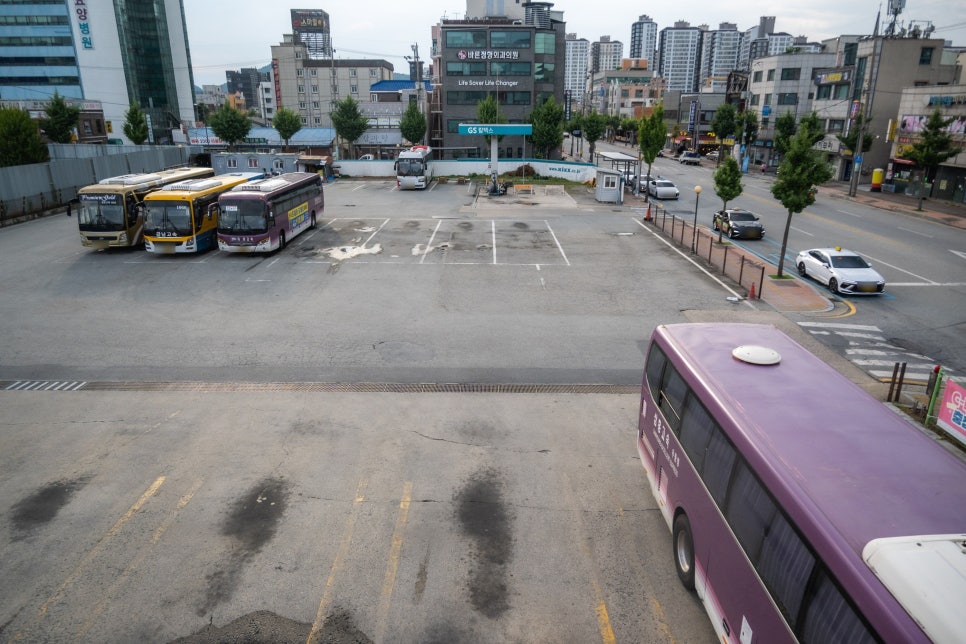 일미식당 사진 2