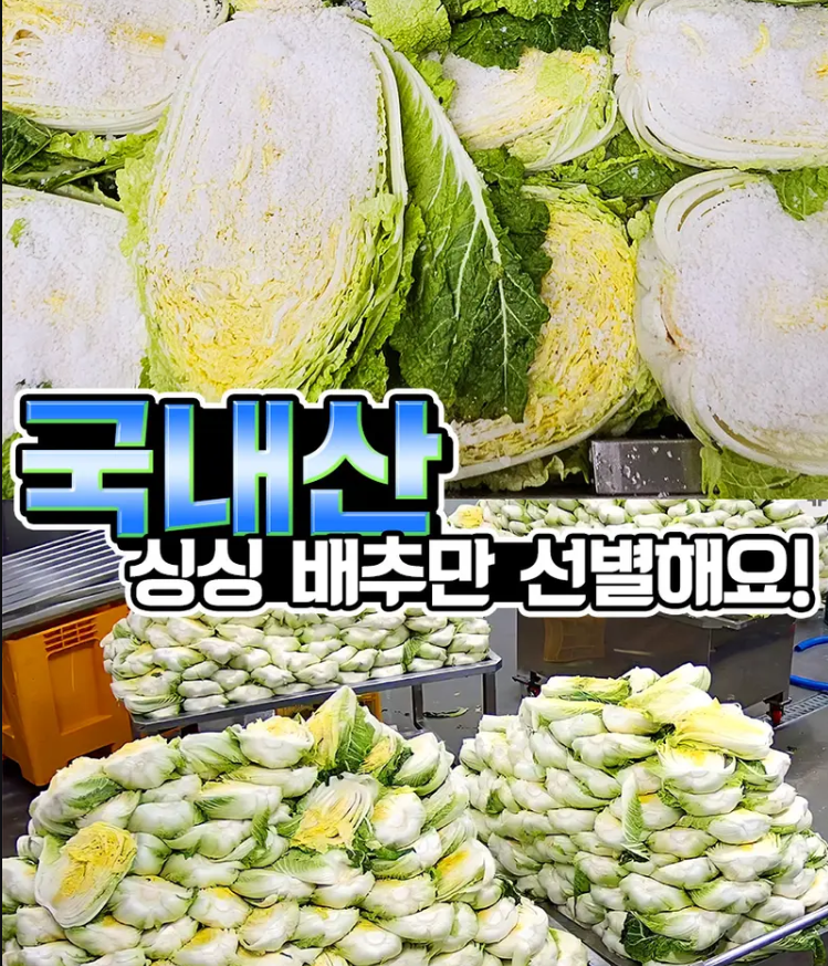 20년 명인김치 전라도식 배추김치 10kg 맛있는 국산 김치 추천