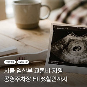 [2026 최신] "서울 임산부 교통비 지원" 신청부터 공영주차장 50% 할인 꿀팁까지