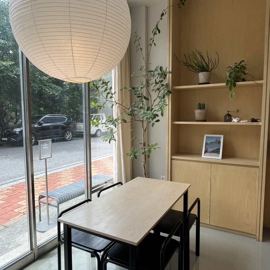 상록수 사진 5