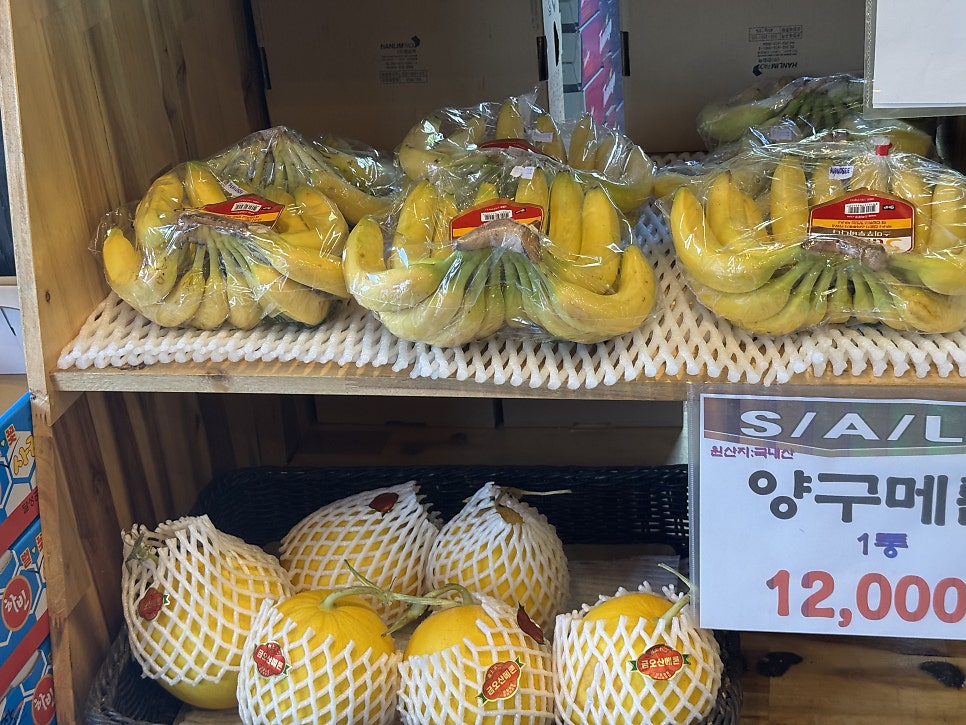 아삭아삭과일카페 무실점 사진 4