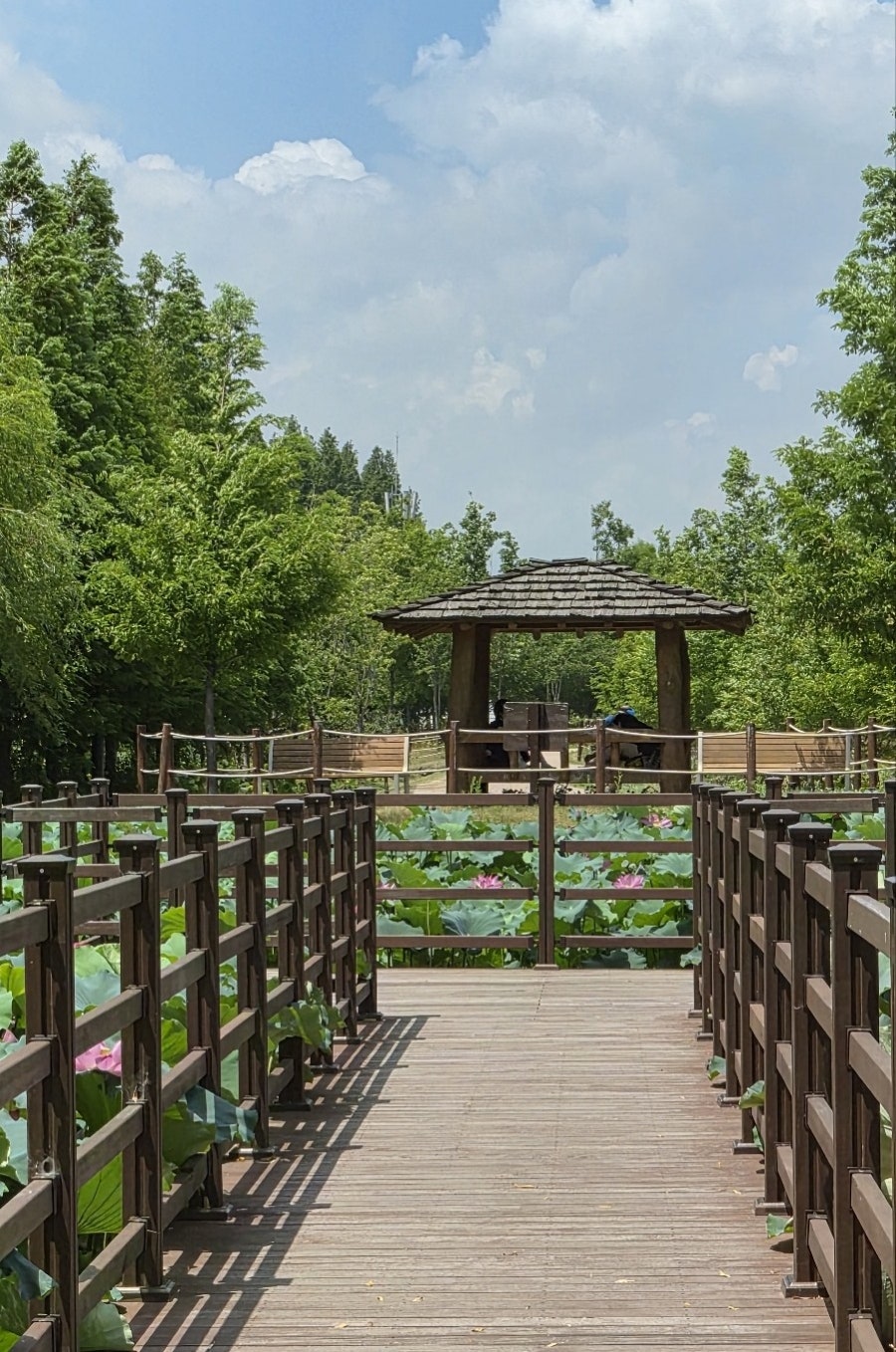 명촌순두부보쌈 사진 5