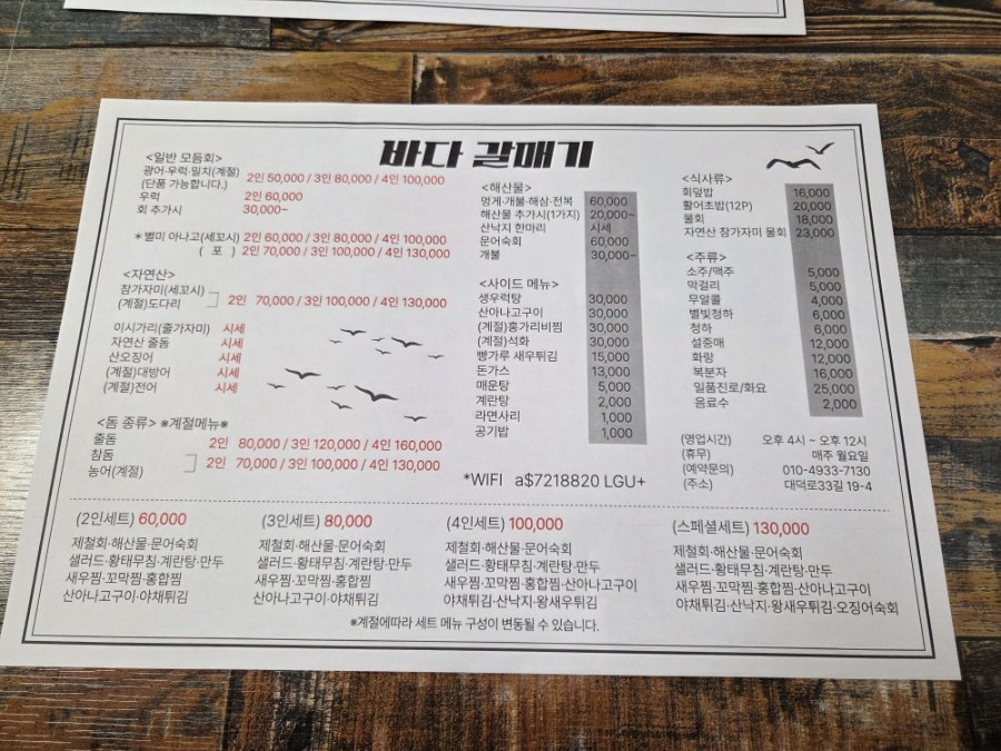 바다갈매기 사진 5