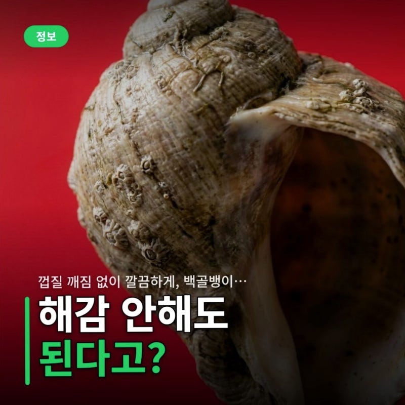 껍질 깨짐 없이 깔끔하게, 백골뱅이 손질과 삶는 시간