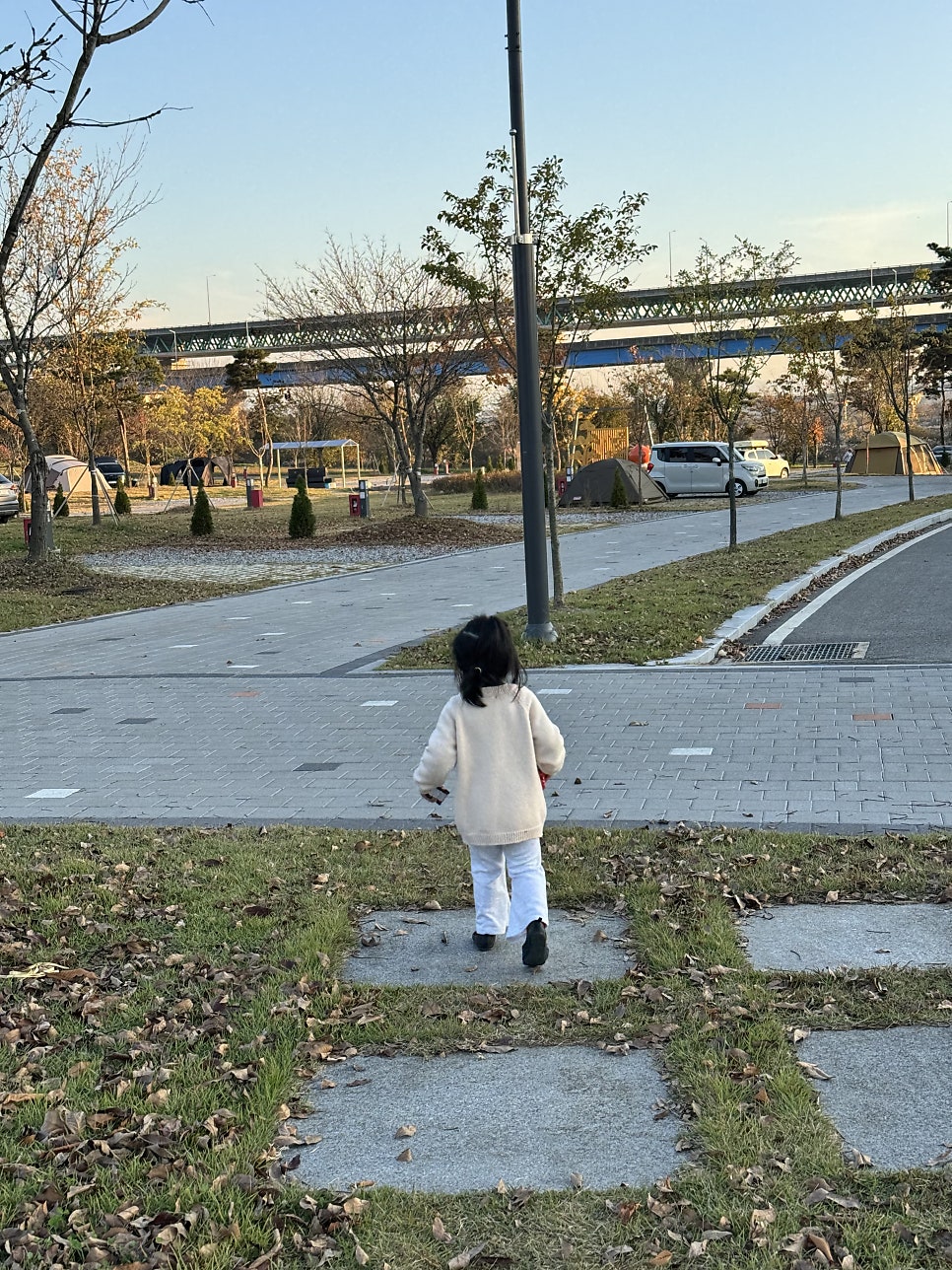 충주 목계솔밭캠핑장 사진 6