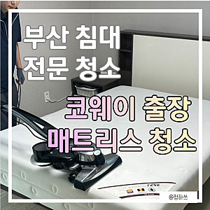 [부산 침대 전문 청소] 땀 많은 아이 침대 진드기 발견 ㅠ 코웨이 출장 매트리스 청소 찐후기