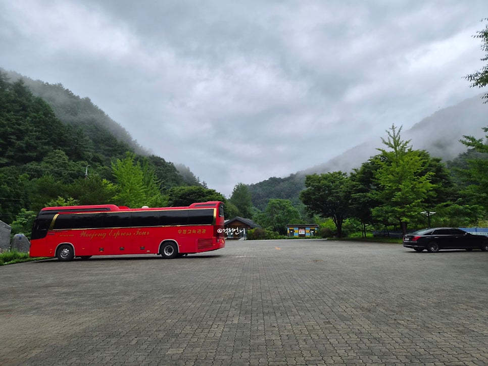 금대계곡 사진 6