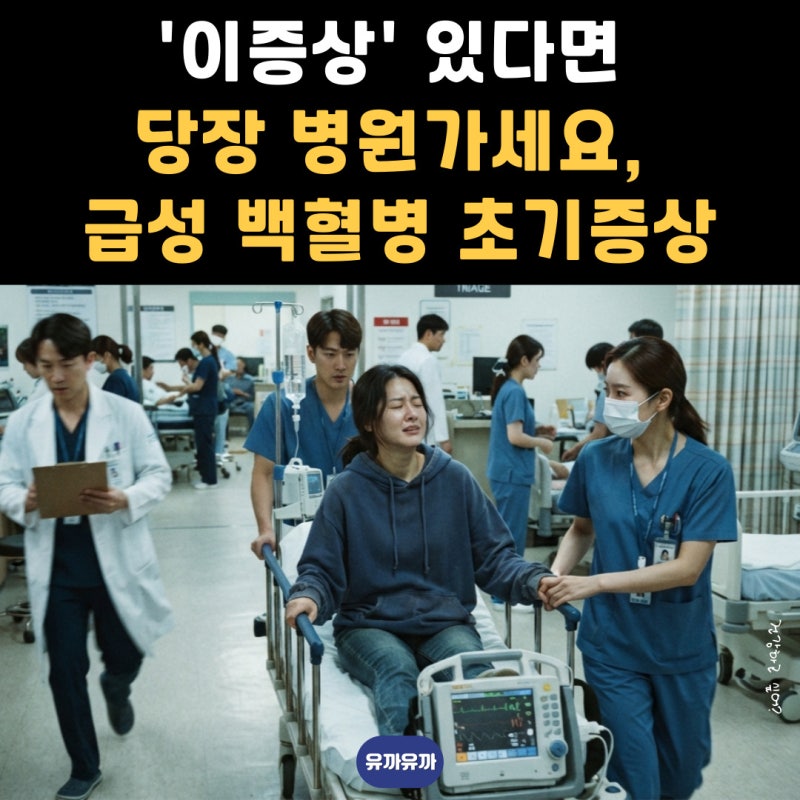 '이증상' 있다면 당장 병원가세요, 급성 백혈병 초기증상 입니다.