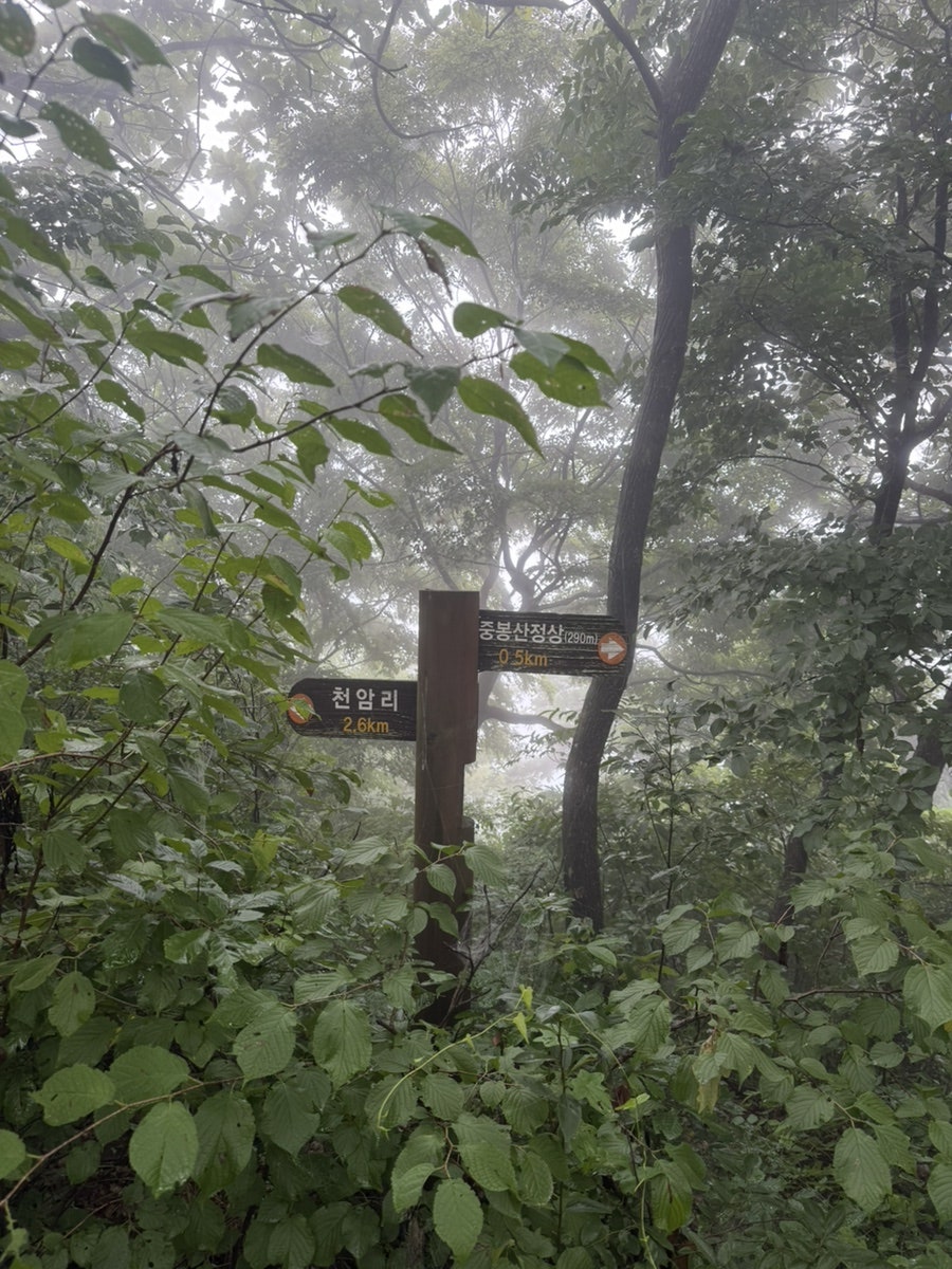 중봉산 사진 5