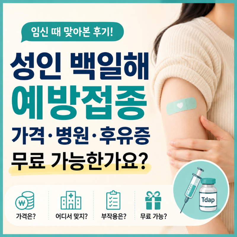 성인 백일해 예방접종 가격 병원 후유증, 무료 가능한가요? 임신 중 직접 맞아본 후기