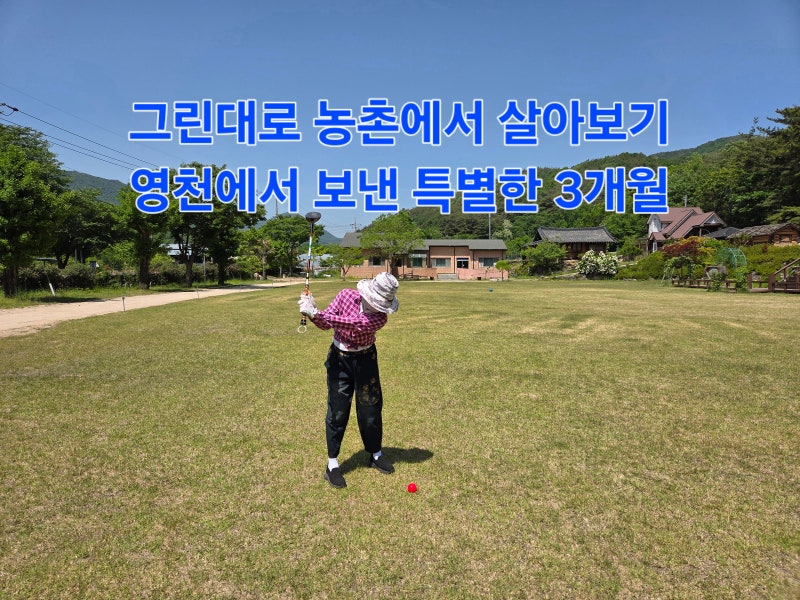 2026 그린대로 농촌에서 살아보기 후기, 경북 영천에서 보낸 3개월, 잊지 못할 특별한 경험