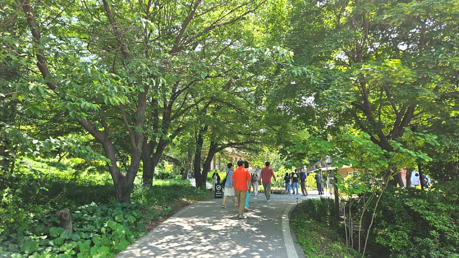 카페피어라 사진 4