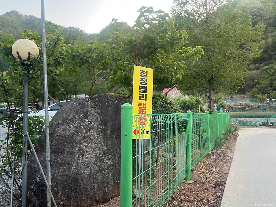 단양청정밸리캠핑장 사진 5