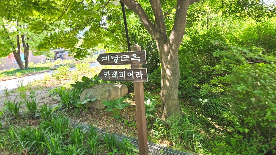 카페피어라 사진 1