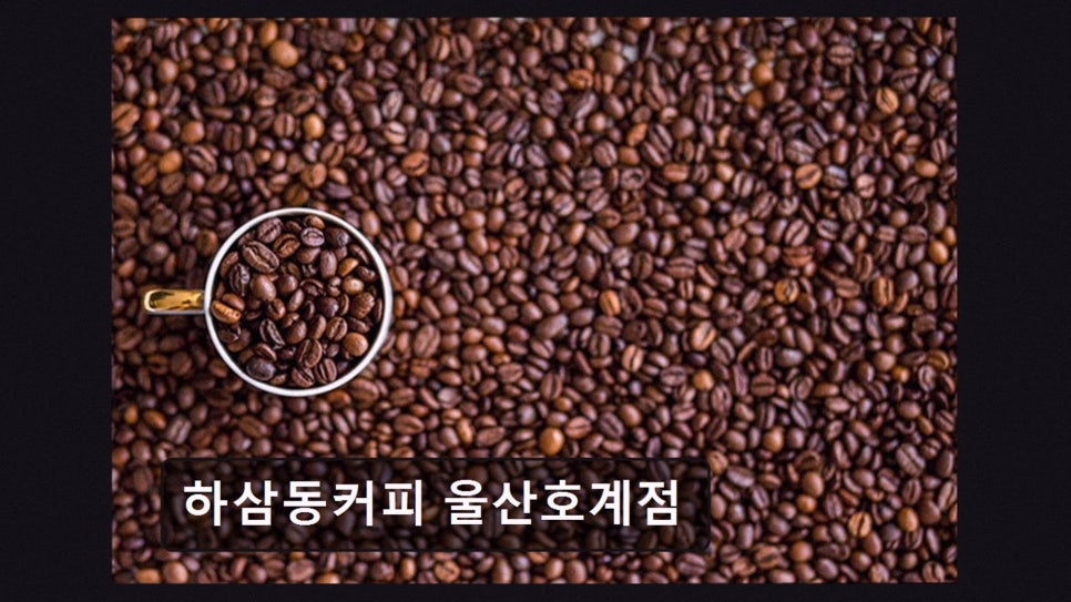 하삼동커피 울산염포점 사진 2