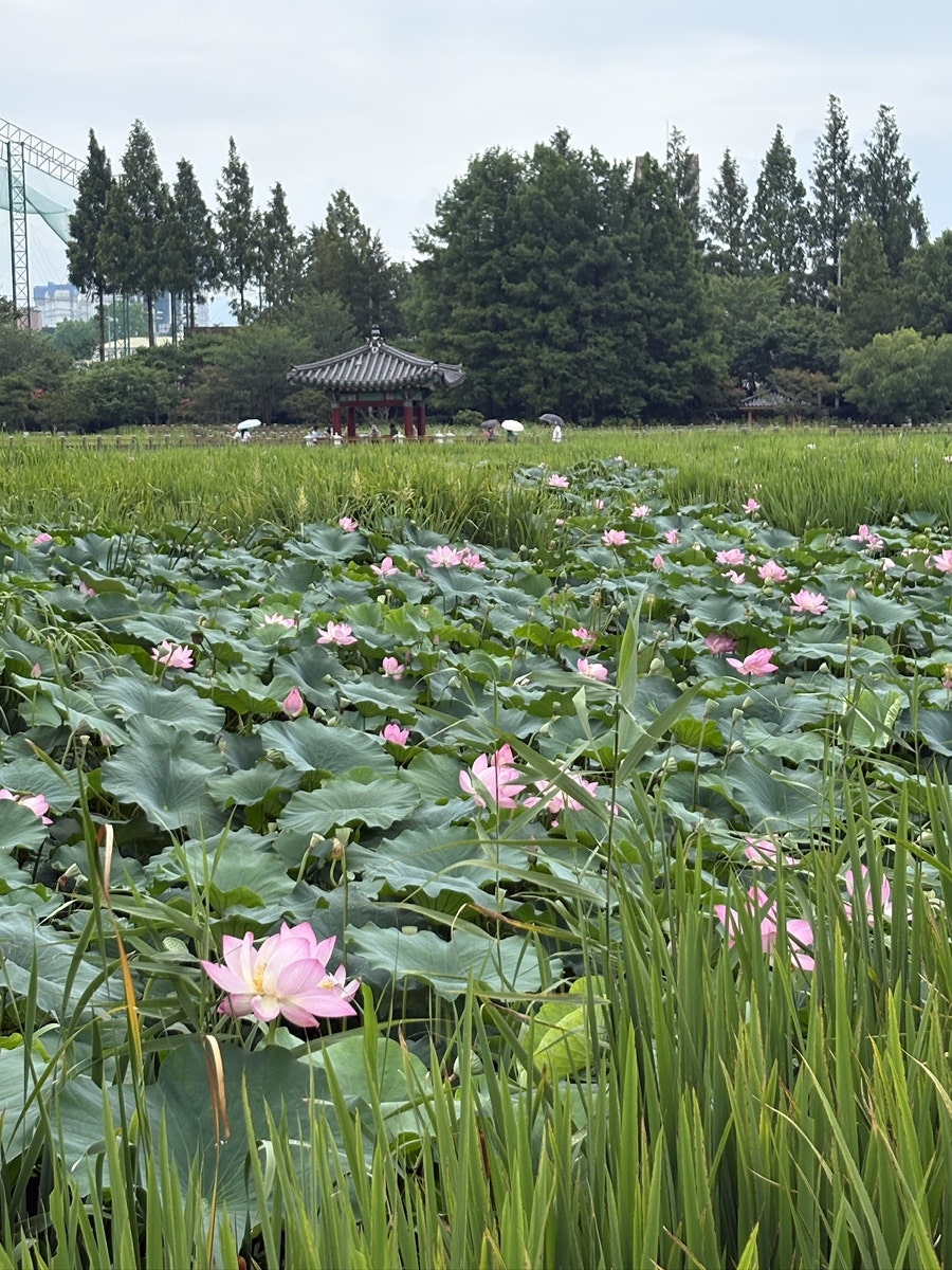 메르밀진미집 전주역점 사진 5