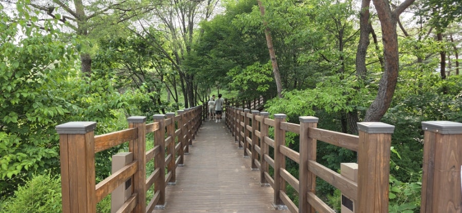 영월무인텔 사진 4