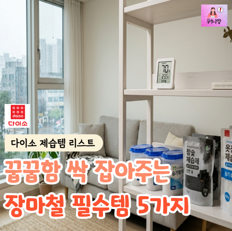 "습도 70% 실화야?" 다이소에서 찾은 장마철 필수 제습템 5가지