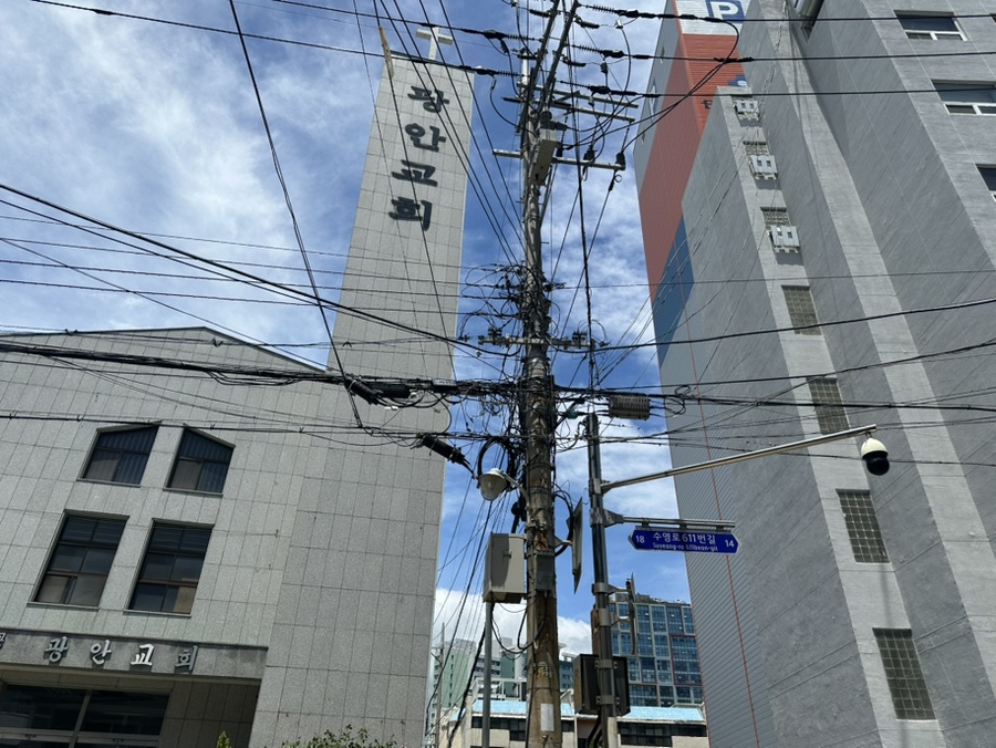 비비비 사진 1