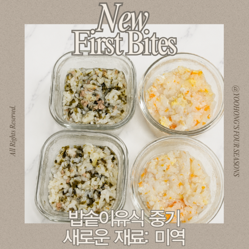 이유식 미역, 밥솥이유식중기 소고기미역양파죽 닭고기계란당근죽
