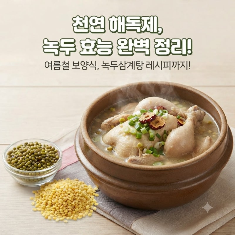 녹두효능 영양 성분 주요 특징 부작용 활용레시피까지 총정리