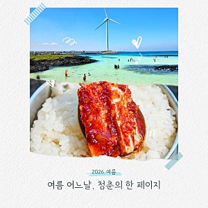 제주 코난비치 제주도 스노클링 명소 코난해변 주차장 샤워장 맛집 총정리