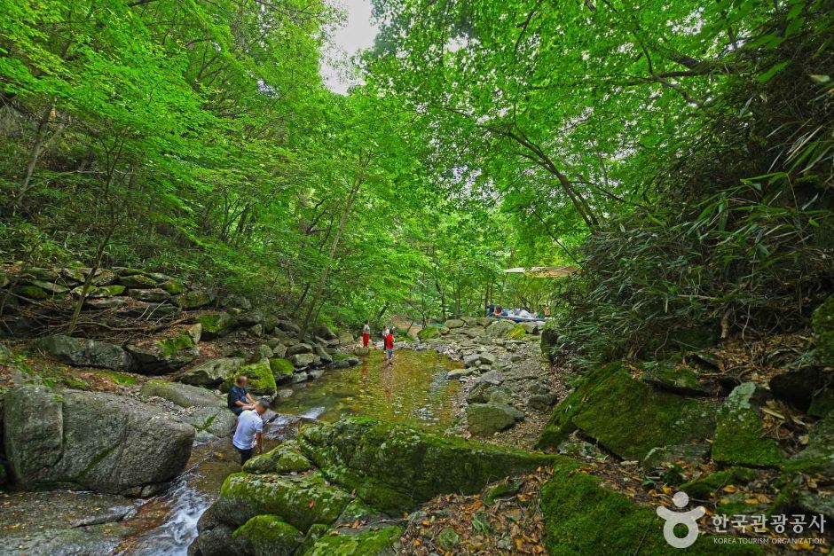 지지계곡 사진 1