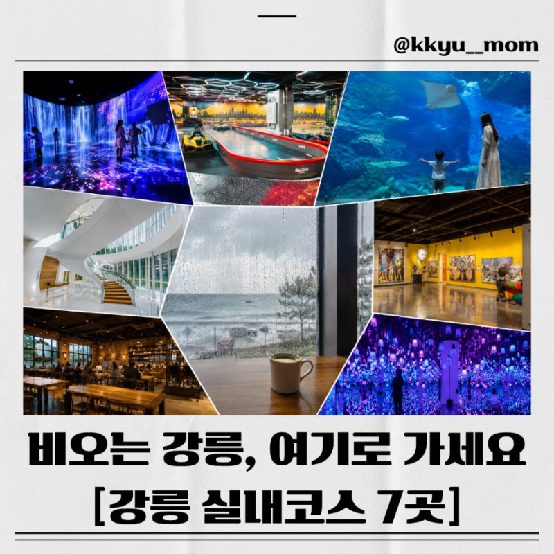강릉 비오는날 가볼만한곳 7곳, 여행 망치지 않는 요즘 실내 대체코스
