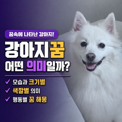 강아지꿈 해몽, 꿈 속 강아지의 모습별 크기 색깔 행동별 의미와 해석