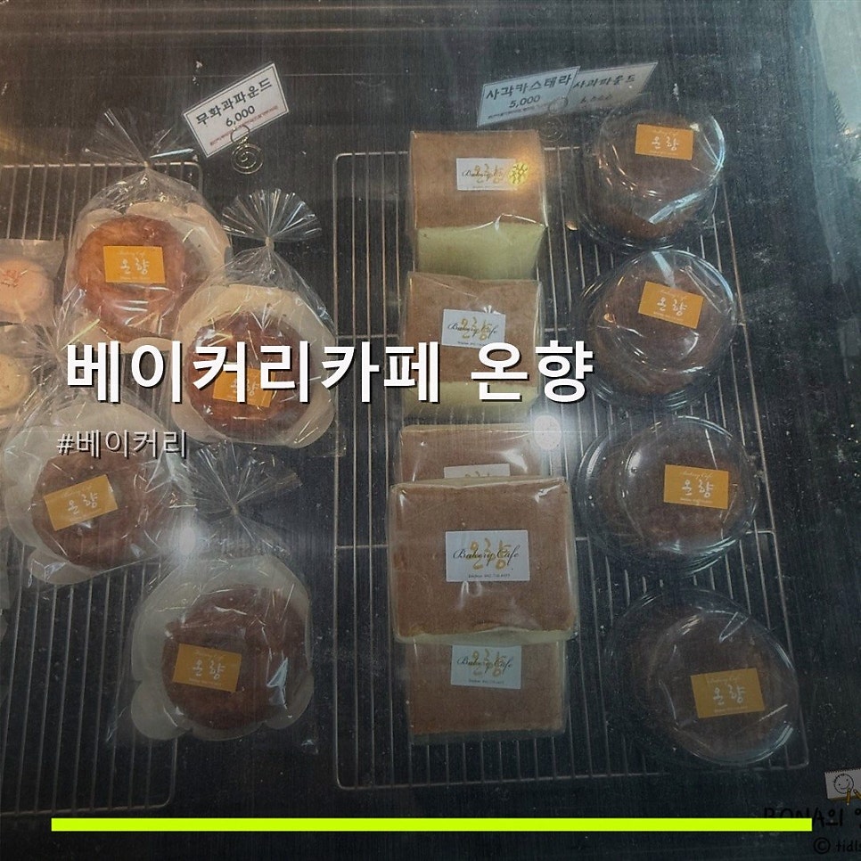 온향 사진 1