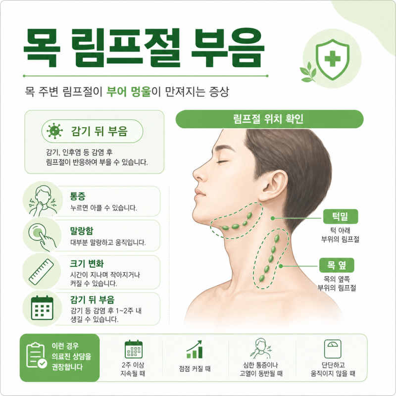 목 림프절 부음 멍울 통증, 위험 신호는 따로 있다