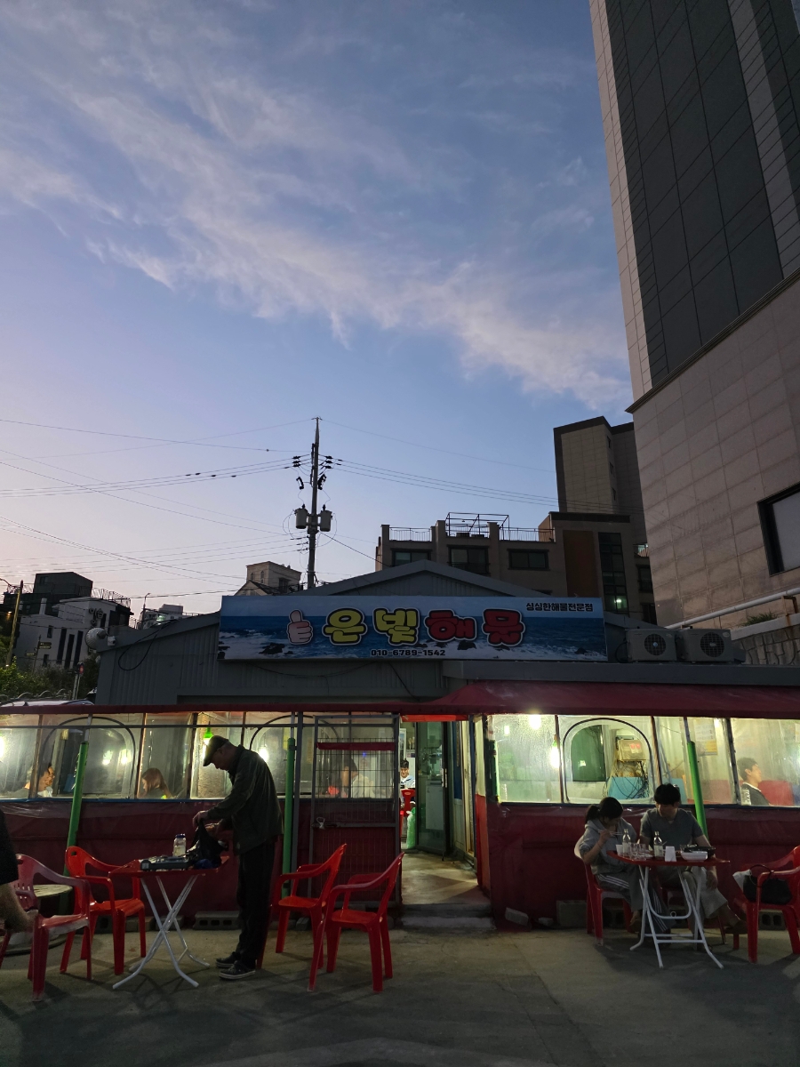 은빛해물 사진 1