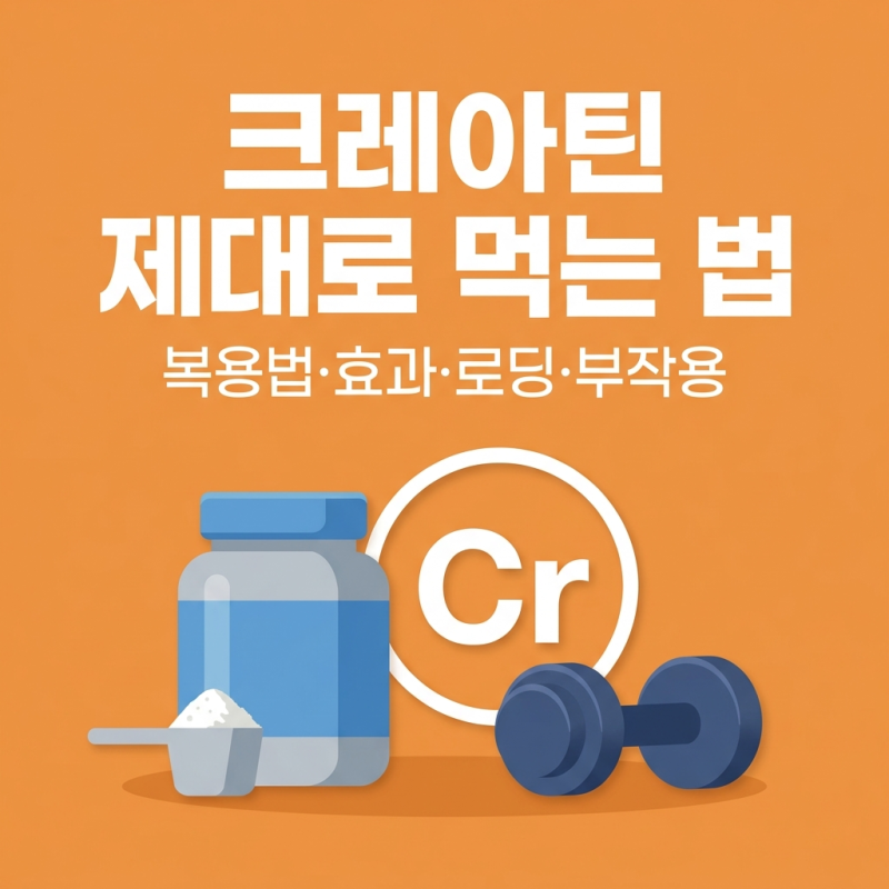 헬스 필수템 크레아틴 복용법 효과 로딩 타이밍 부작용