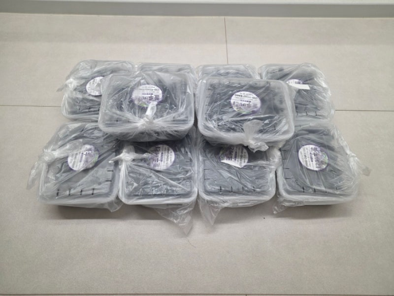 생블루베리 오래 먹는 보관법! 5kg 끝까지 싱싱하게 먹은 후기