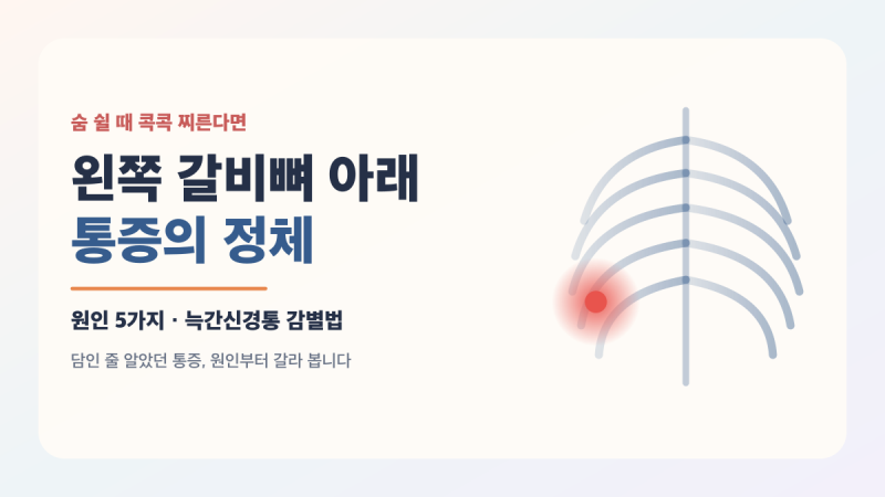 왼쪽 갈비뼈 아래가 콕콕 — 담인 줄 알았던 통증, 5가지 원인과 늑간신경통 감별법