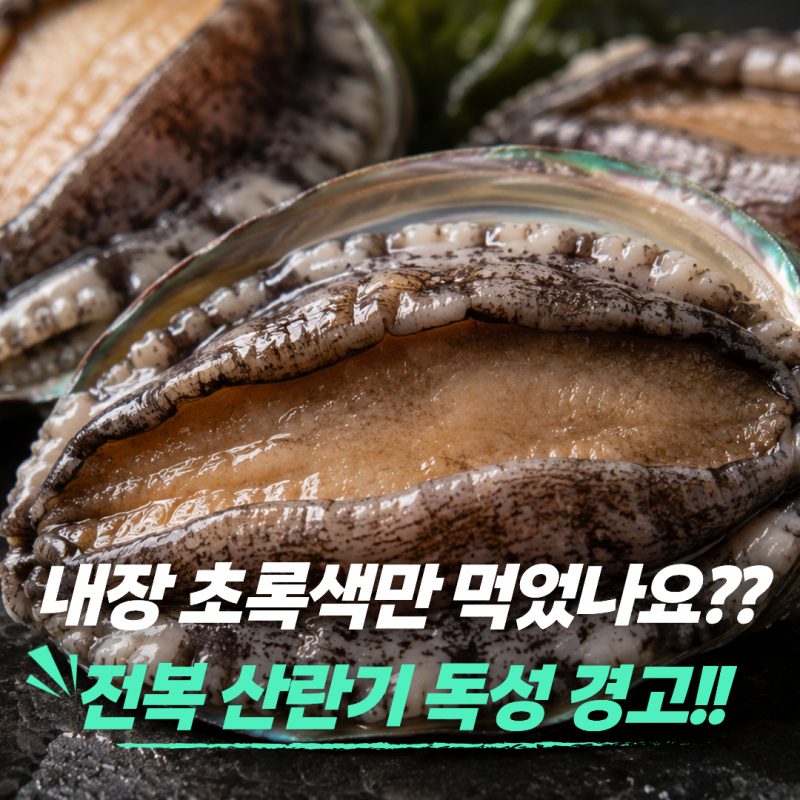 내장 색깔 초록색만 먹었나요? 전복 부작용 속 숨겨진 산란기 독성의 경고