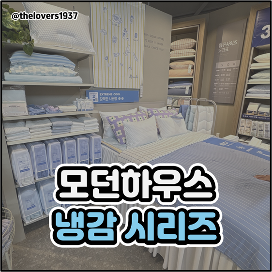 모던하우스 냉감이불, 모던하우스 냉감베개, 모던하우스 냉감쿠션까지 여름 냉감제품 총정....