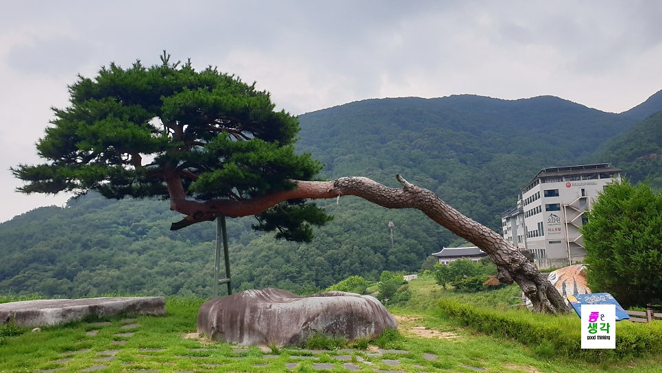 동의보감 사진 2