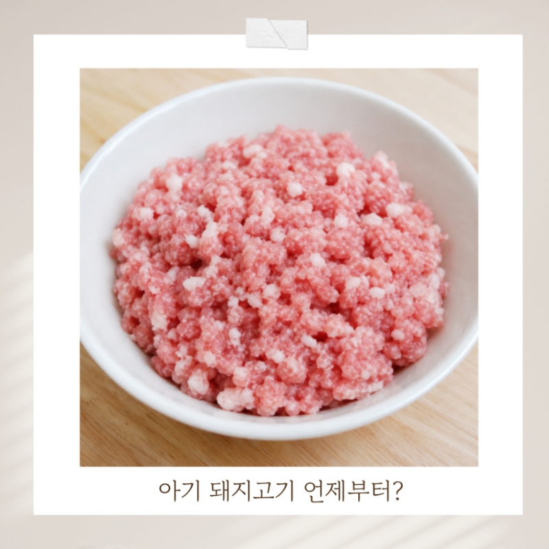아기 돼지고기 언제부터 먹여도 될까? 시작 시기 돼지고기이유식 부위추천