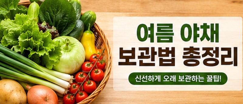 여름 야채 보관법 총정리! 오이부터 감자까지 오래 신선하게 보관하는 방법