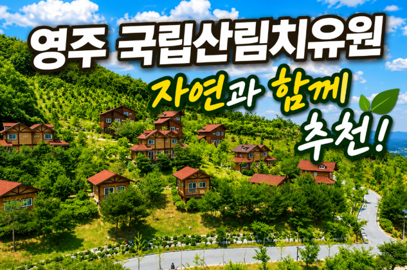 영주 국립산림치유원 예약 및 숙박 총정리