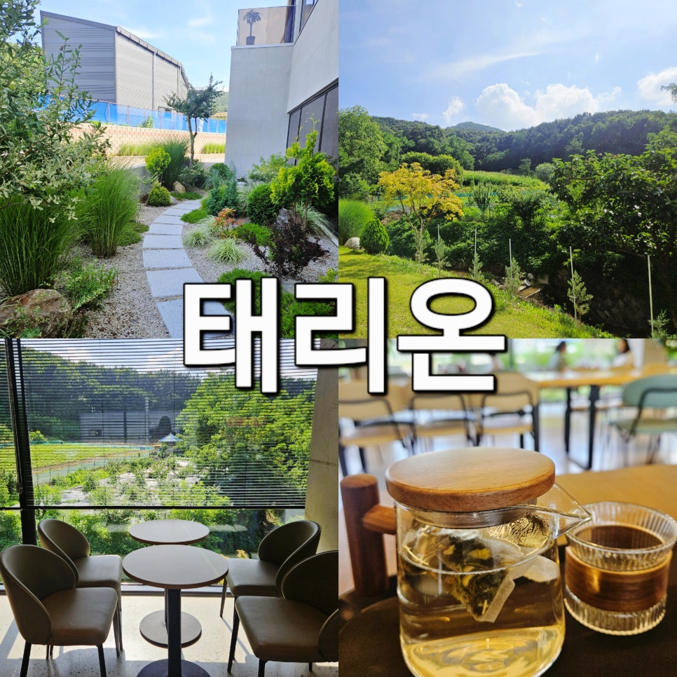 태리온 사진 1