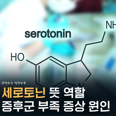 세로토닌 뜻 증후군 부족 증상 원인 확인하세요!