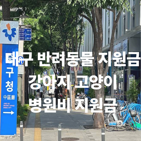 대구 반려동물 지원금 신청대상 및 방법 강아지 고양이 병원비 지원금