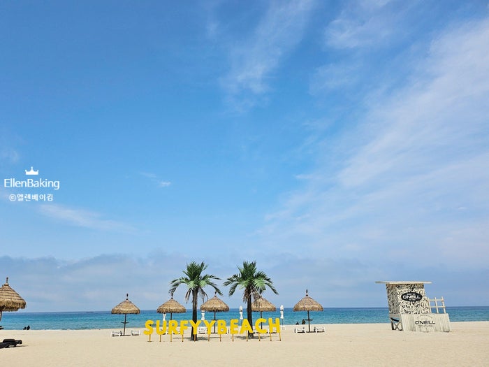 양양핫플, 이국적인 양양 선셋바 SURFYY BEACH 서피비치 선셋바