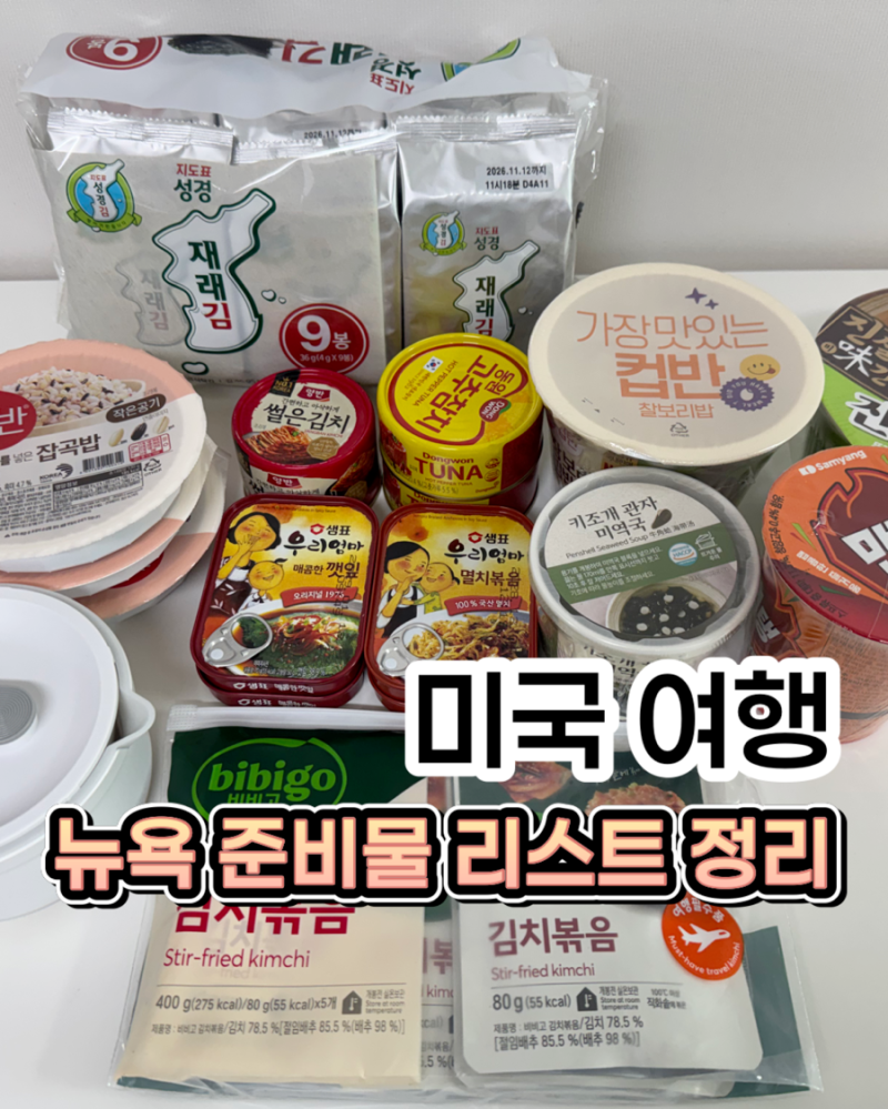미국 여행 준비물리스트, 뉴욕 여행 가기 전 이것만 보면 끝! ESTA부터 반입 가능한 음식까지 ....