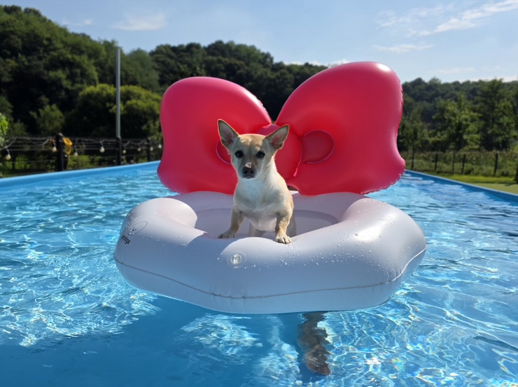 레인바우 세종연서점 사진 4