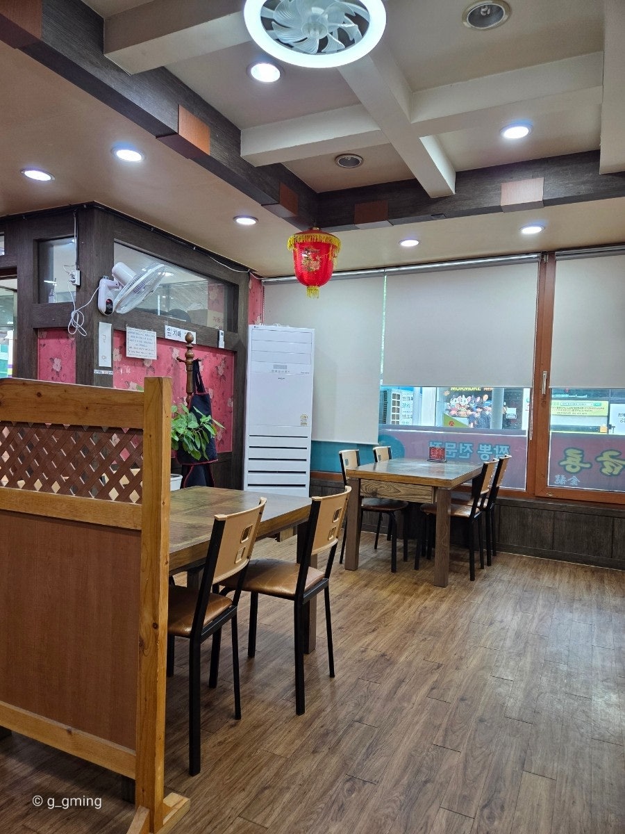 금룡 사진 3