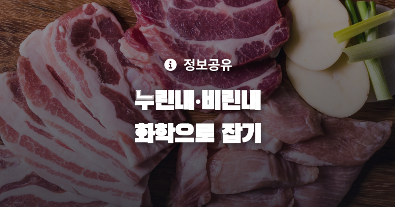고기 누린내와 생선 비린내 원인부터 냄새 제거 방법까지 화학으로 풀기